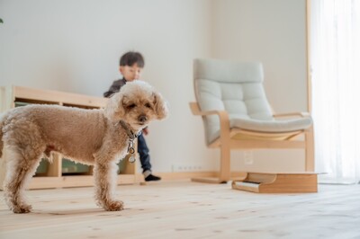 LINE_ALBUM_磐田市富丘 広告用写真_250312_20.jpgのサムネール画像